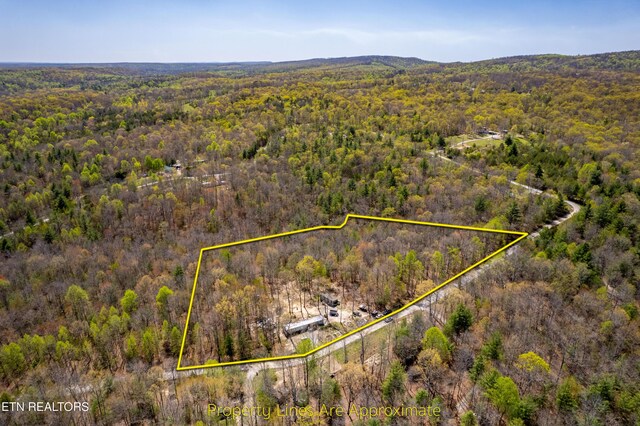 974 Tiffany Ln, Spring City, TN 37381