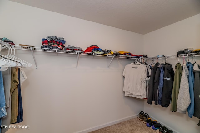 2740 Red Barn Rd, Knoxville, TN 37931 - walk in closet featuring carpet flooring