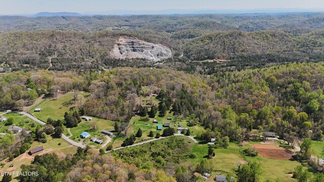 0 Chestnut Ridge Rd, Andersonville, TN 37705