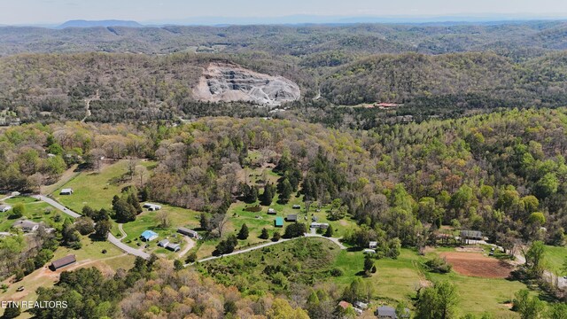 0 Chestnut Ridge Rd, Andersonville, TN 37705