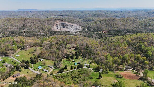 0 Chestnut Ridge Rd, Andersonville, TN 37705