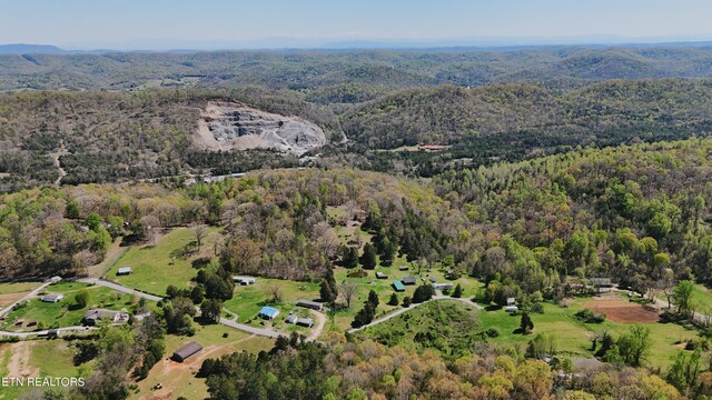 0 Chestnut Ridge Rd, Andersonville, TN 37705