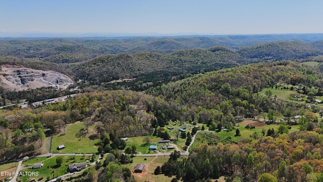 0 Chestnut Ridge Rd, Andersonville, TN 37705