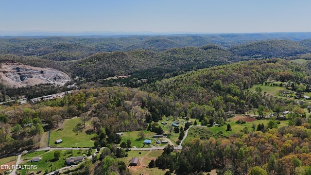 0 Chestnut Ridge Rd, Andersonville, TN 37705