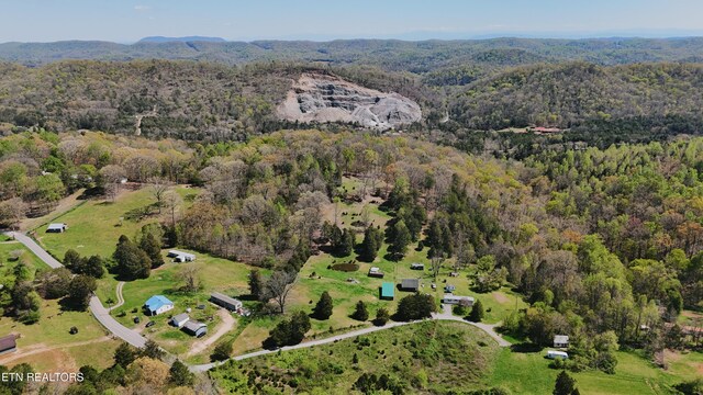 0 Chestnut Ridge Rd, Andersonville, TN 37705