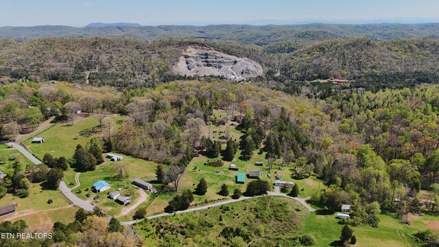 0 Chestnut Ridge Rd, Andersonville, TN 37705