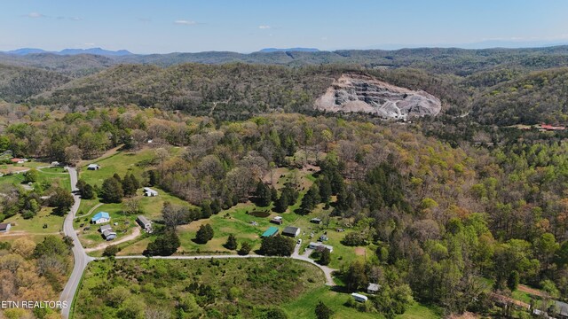 0 Chestnut Ridge Rd, Andersonville, TN 37705