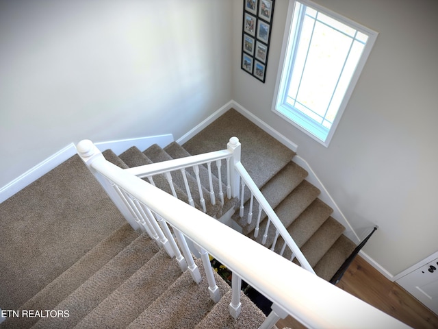 1881 Mickelson Ct, Cookeville, TN 38506 - photo 52
