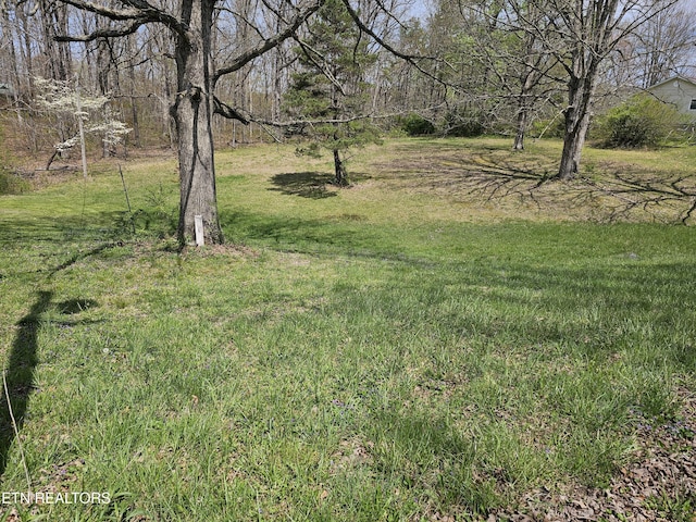 1009 Roysden Rd, Jamestown, TN 38556 - view of yard