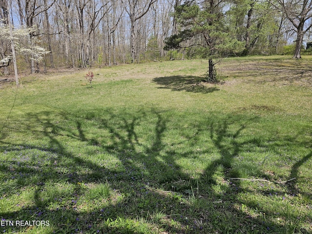 1009 Roysden Rd, Jamestown, TN 38556 - view of yard