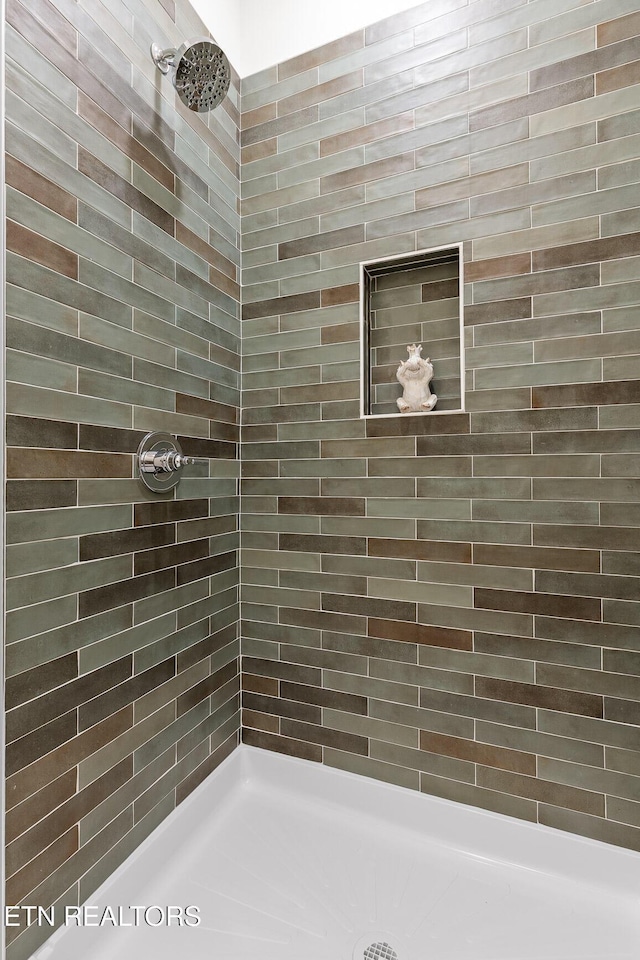 105 E Oldham Ave Unit 103, Knoxville, TN 37917 - bathroom featuring tiled shower