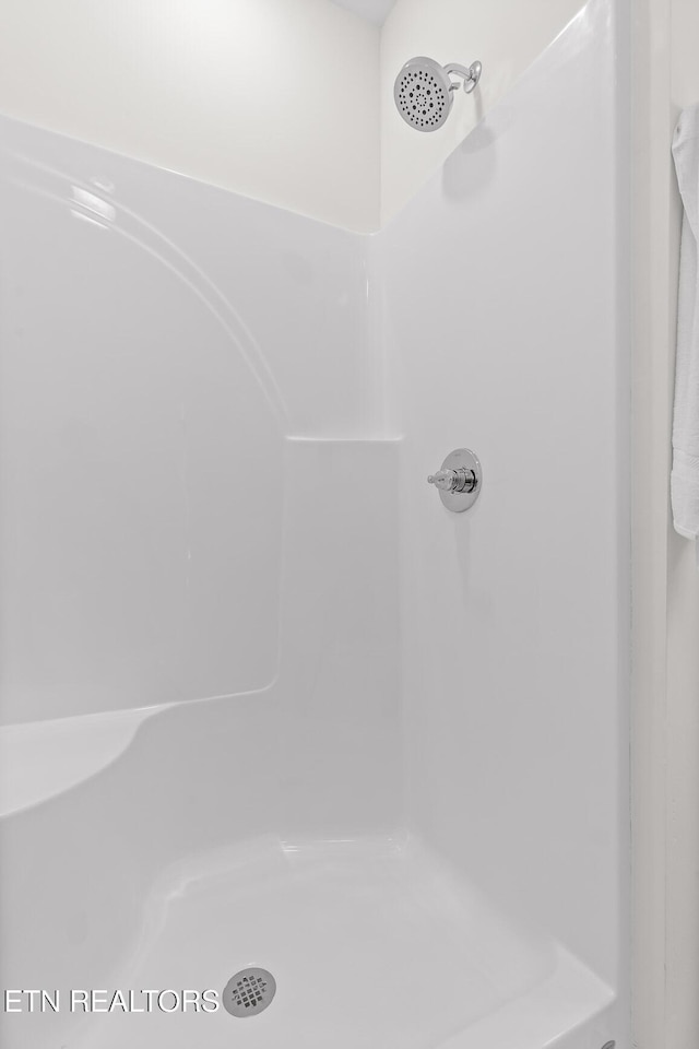 105 E Oldham Ave Unit 103, Knoxville, TN 37917 - bathroom featuring a shower