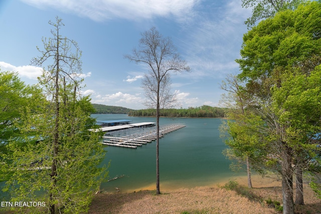 222 Pinnacle Pt, Andersonville, TN 37705 - dock area with a water view