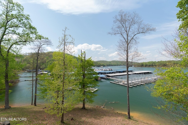 222 Pinnacle Pt, Andersonville, TN 37705 - view of dock featuring a water view