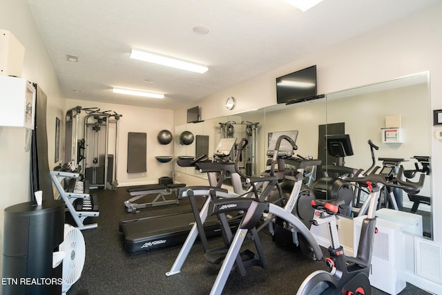 222 Pinnacle Pt, Andersonville, TN 37705 - view of gym