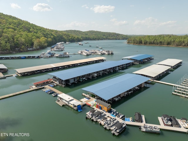 222 Pinnacle Pt, Andersonville, TN 37705 - aerial view featuring a wooded view and a water view