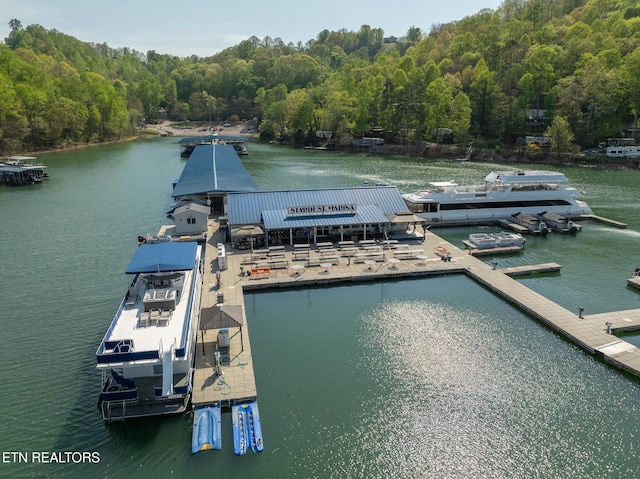 222 Pinnacle Pt, Andersonville, TN 37705 - dock area with a water view and a view of trees