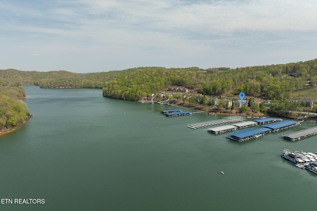 222 Pinnacle Pt, Andersonville, TN 37705 - aerial view with a water view and a view of trees