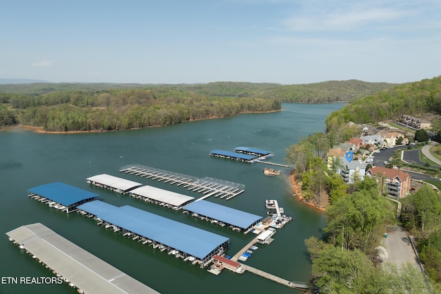 222 Pinnacle Pt, Andersonville, TN 37705 - aerial view with a wooded view and a water view