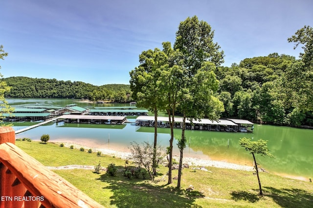 property view of water featuring a wooded view