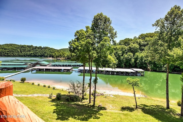 water view with a boat dock