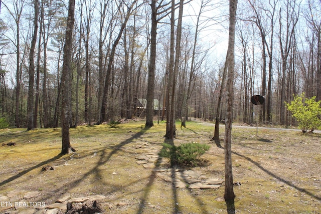 205 Maggie Valley Dr, Jamestown, TN 38556 - view of yard