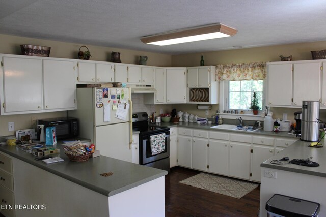 205 Maggie Valley Dr, Jamestown, TN 38556 - kitchen featuring stainless steel range with electric stovetop, a sink, freestanding refrigerator, under cabinet range hood, and black microwave