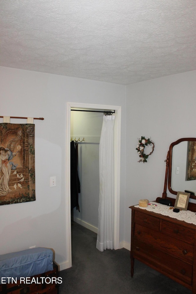 205 Maggie Valley Dr, Jamestown, TN 38556 - bedroom with a closet, baseboards, carpet flooring, a textured ceiling, and a walk in closet