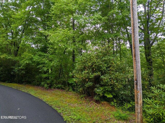 Black Gum Gap Rd, Gatlinburg, TN 37738