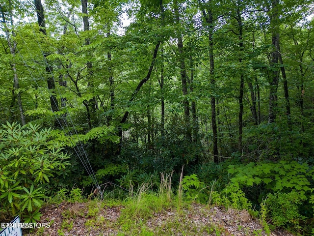 Black Gum Gap Rd, Gatlinburg, TN 37738