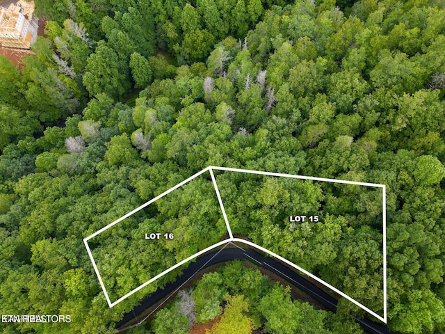 Black Gum Gap Rd, Gatlinburg, TN 37738