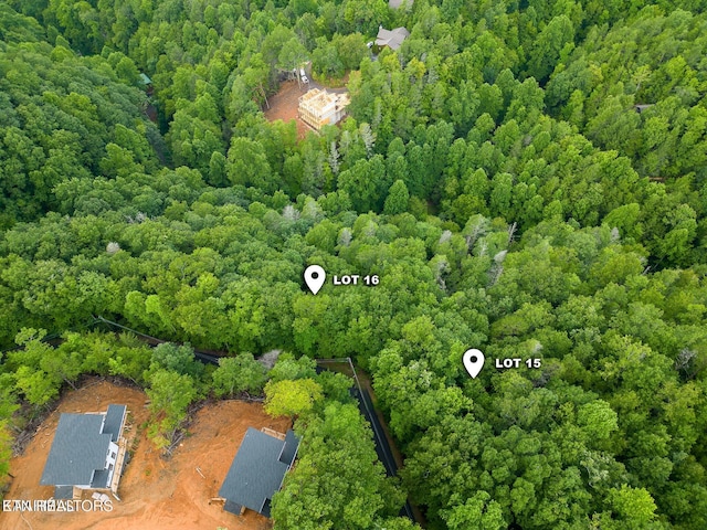 Black Gum Gap Rd, Gatlinburg, TN 37738