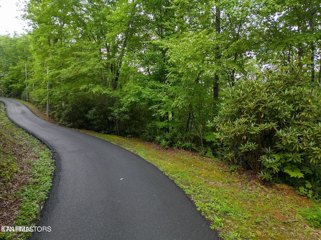 Black Gum Gap Rd, Gatlinburg, TN 37738