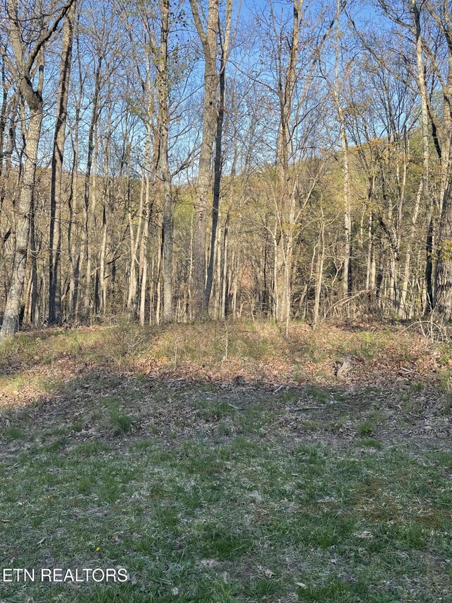 147 Havenridge Cir, Crossville, TN 38558 - photo 6