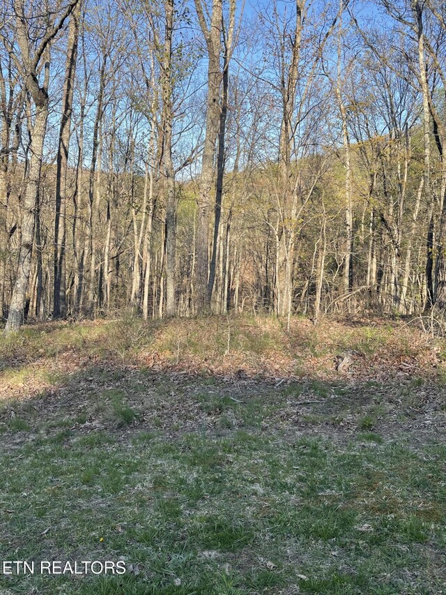 147 Havenridge Cir, Crossville, TN 38558 - photo 7