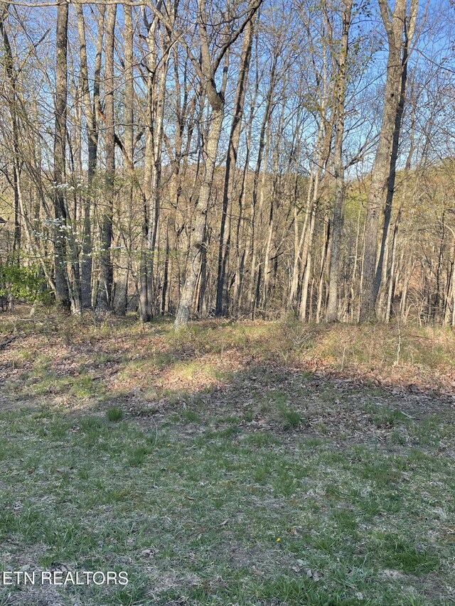 147 Havenridge Cir, Crossville, TN 38558 - photo 8