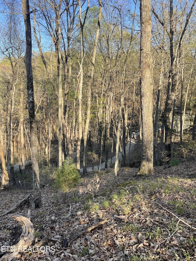 147 Havenridge Cir, Crossville, TN 38558 - photo 1