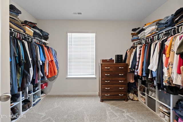 walk in closet with visible vents and carpet