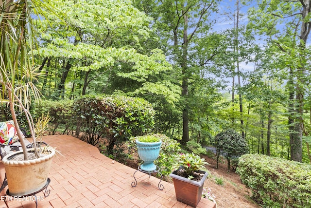 118 Mohawk Rd, Oak Ridge, TN 37830 - view of patio