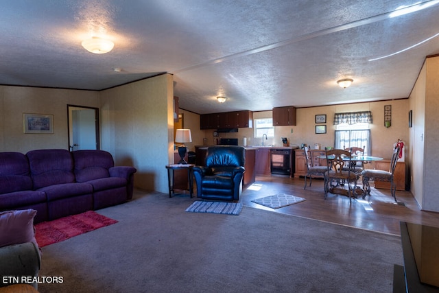 carpeted living room with a sink and a textured ceiling