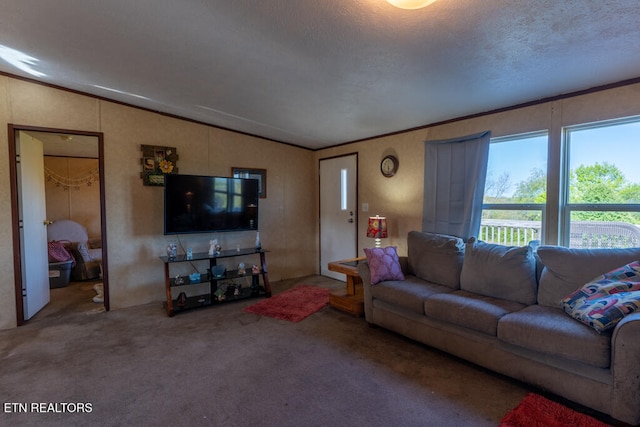 carpeted living area with a wealth of natural light and vaulted ceiling