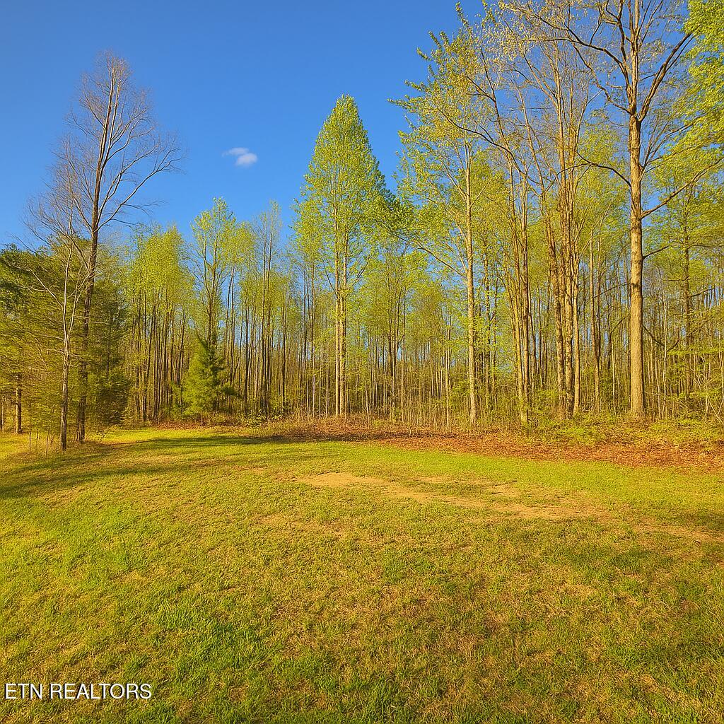 50184 Buckeye Ln, Crawford, TN 38554 - photo 3