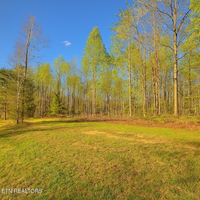 50184 Buckeye Ln, Crawford, TN 38554 - photo 3