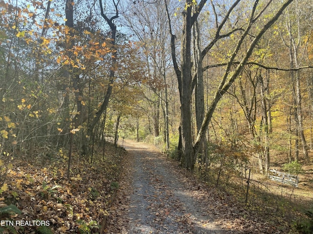 Creek Rd, Powell, TN 37849