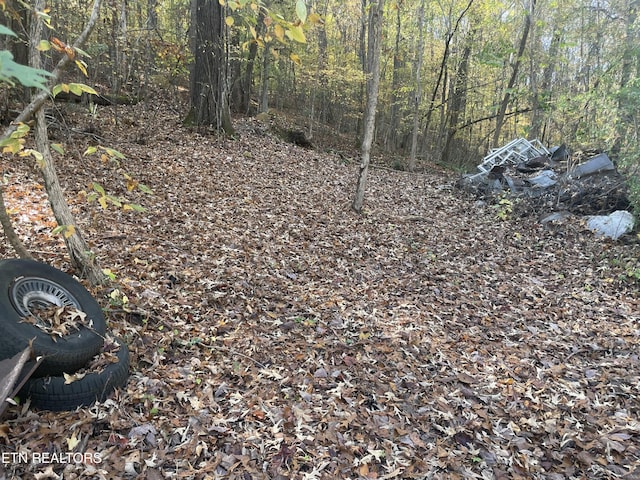 Creek Rd, Powell, TN 37849