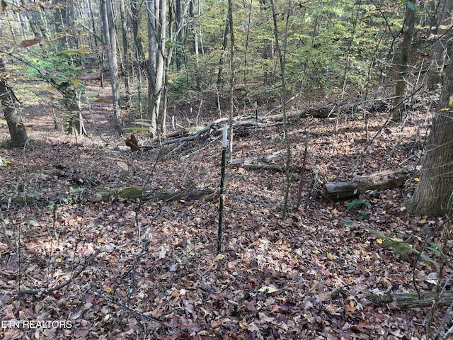 Creek Rd, Powell, TN 37849