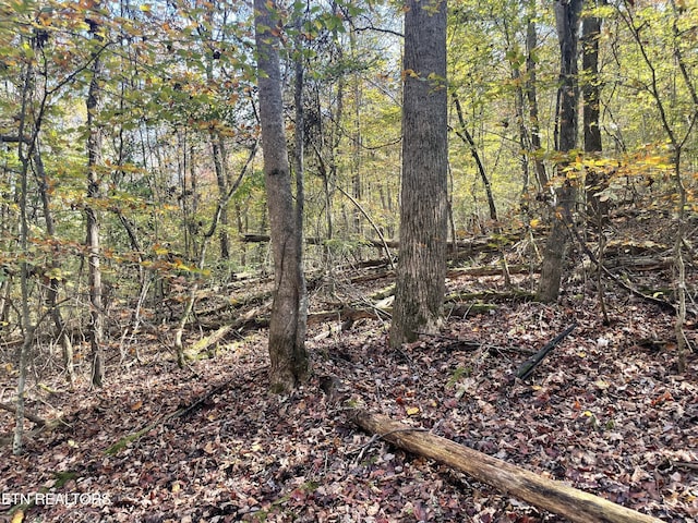 Creek Rd, Powell, TN 37849
