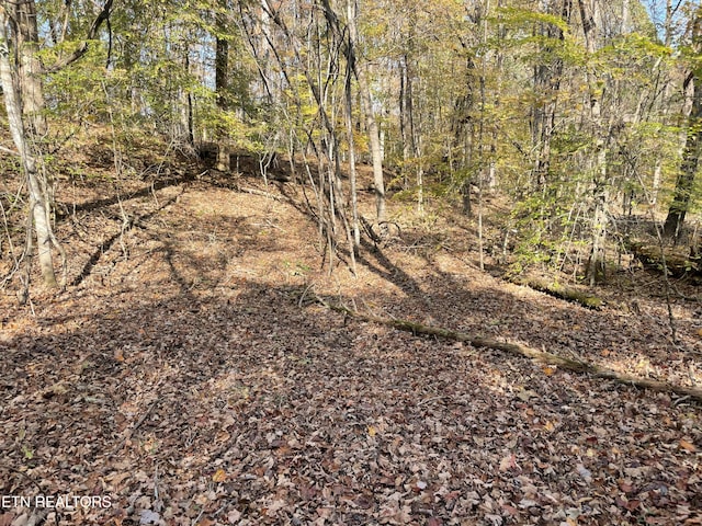 Creek Rd, Powell, TN 37849