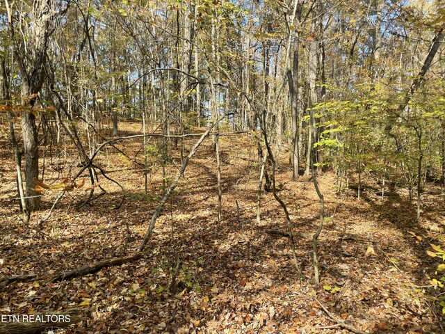 Creek Rd, Powell, TN 37849
