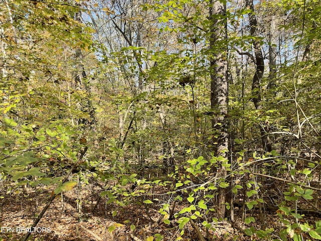 Creek Rd, Powell, TN 37849